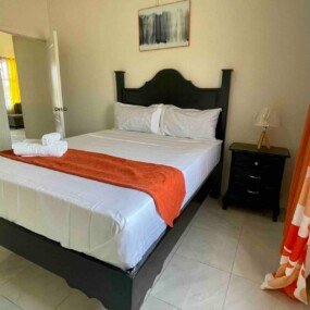 Tropical Vacae Modern Treasure (12)