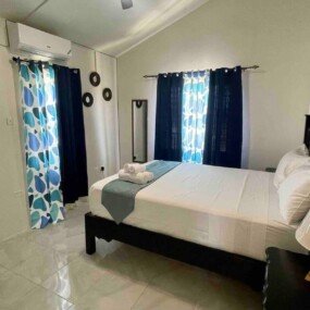 Tropical Vacae Modern Treasure (22)