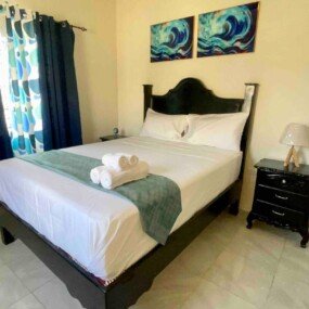 Tropical Vacae Modern Treasure (25)