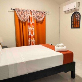 Tropical Vacae Modern Treasure (26)